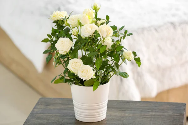 Hermosas Rosas Blancas Maceta Mesa —  Fotos de Stock