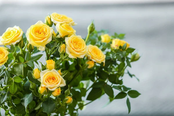 Schöne Gelbe Rosen Zimmer Nahaufnahme — Stockfoto