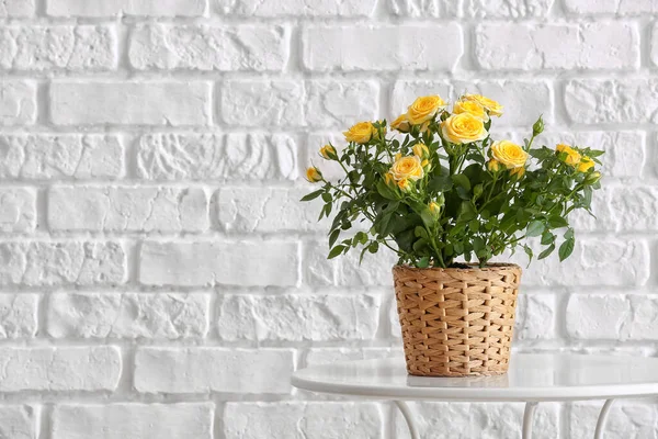 Beautiful Yellow Roses Pot Table Brick Wall — Stock Photo, Image