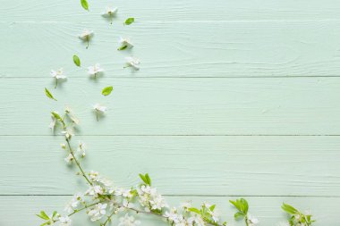 Renkli ahşap arka planda güzel açan dallar