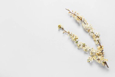 Işık arka planında güzel açan dallar