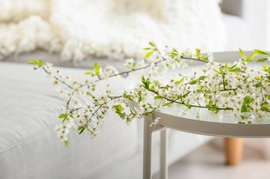 Odadaki güzel dallar, yakın plan.