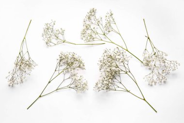 Beyaz arka planda güzel çigila çiçekleri