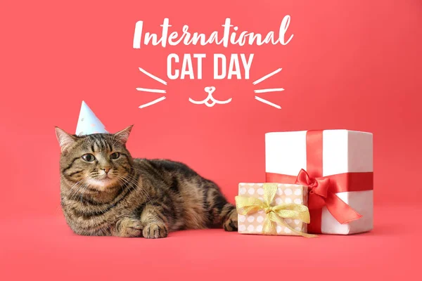 Cute cat in party hat and with gifts on color background. International Cat Day