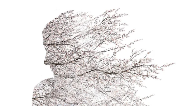 Σιλουέτα Της Γυναίκας Από Ανθισμένα Κλαδιά Δέντρων Λευκό Φόντο — Φωτογραφία Αρχείου