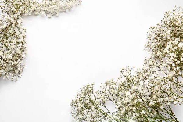 Beautiful Gypsophila Flowers White Background — Stock Photo, Image