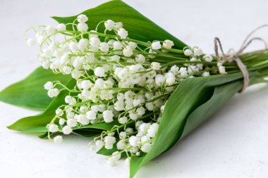 Işıklı arka planda güzel vadi zambağı çiçekleri