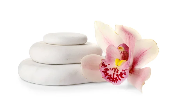 Spa Stones Beautiful Orchid Flower White Background — Stock Photo, Image