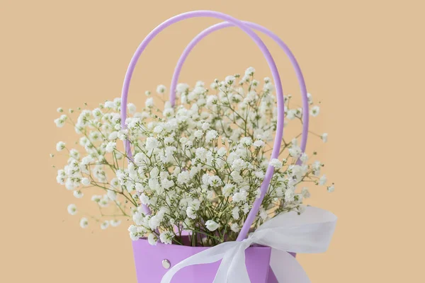 Ramo Hermosas Flores Gypsophila Sobre Fondo Color Primer Plano — Foto de Stock