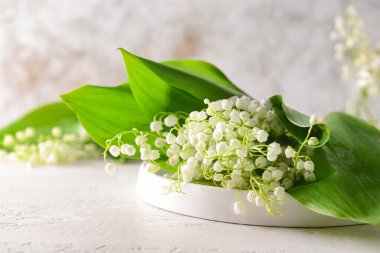 Işıklı arka planda güzel vadi zambağı çiçekleri