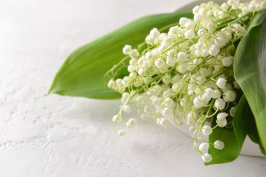 Işıklı arka planda güzel vadi zambağı çiçekleri