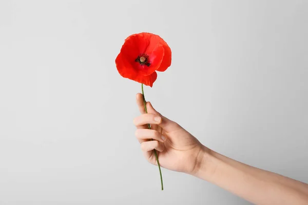 Mano Femminile Con Bel Fiore Papavero Rosso Sfondo Chiaro — Foto Stock