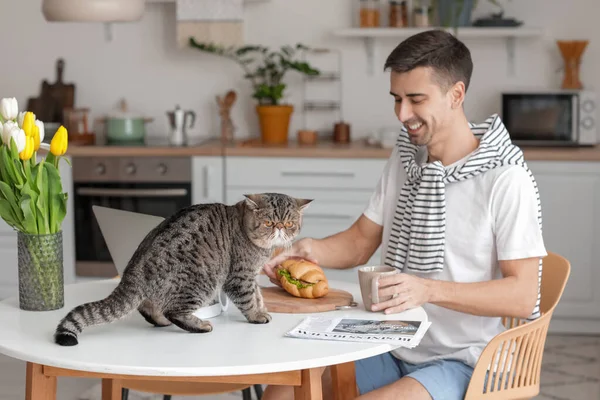 Young Man Cute Cat Eating Croissant Kitchen — Stock Photo, Image