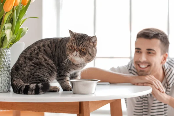 Genç Bir Adam Sevimli Bir Kedi Mutfakta Yemek Var — Stok fotoğraf