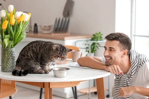 Young Man Cute Cat Bowl Food Kitchen — Stock Photo, Image
