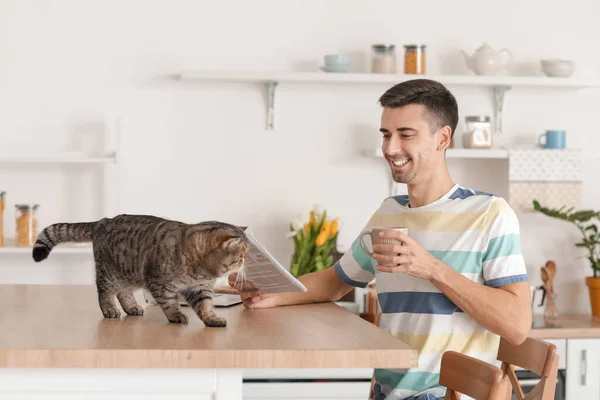 Young Man Cute Cat Reading Newspaper Kitchen — Stock Photo, Image