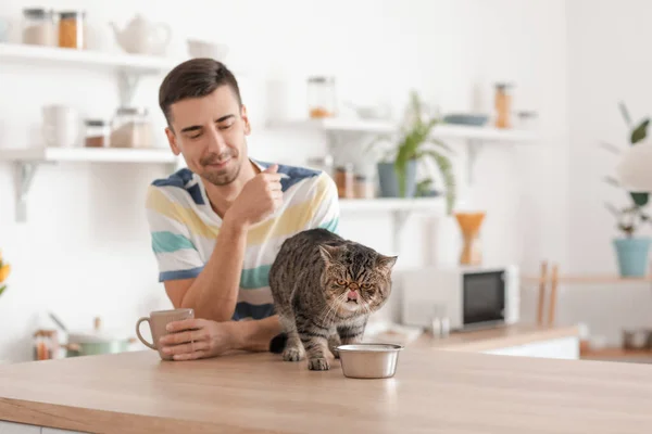 Young Man Cute Cat Eating Bowl Kitchen — Stock Photo, Image
