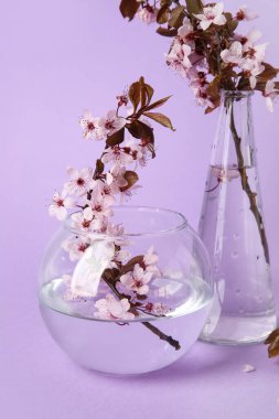 Renkli arka planda çiçek açan güzel dalları olan vazolar