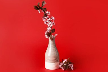 Renk arkaplan üzerinde çiçek açan güzel dalları olan vazo