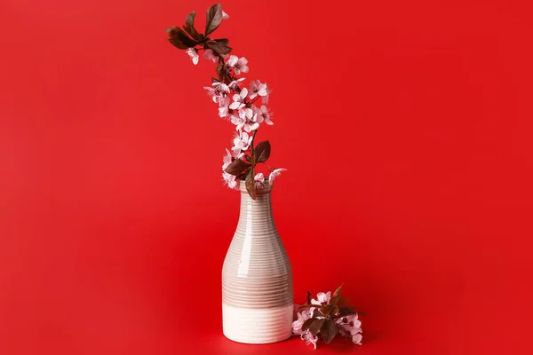 Vase Avec Belles Branches Fleurs Sur Fond Couleur — Photo