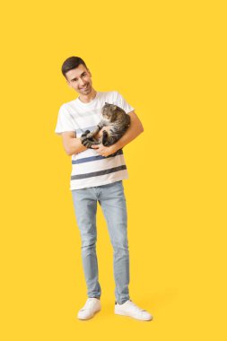 Renkli arka planda sevimli kedisi olan genç adam.