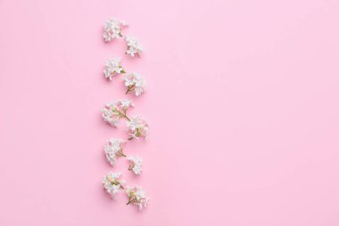 Renkli arkaplanda güzel leylak çiçekleri