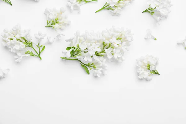 Belles Fleurs Lilas Sur Fond Blanc — Photo