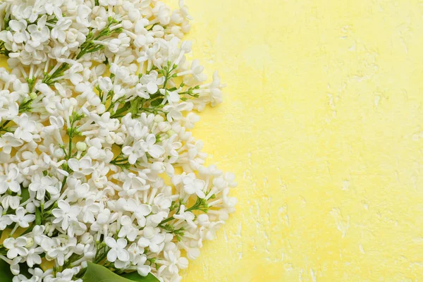 Vackra Lila Blommor Färg Bakgrund — Stockfoto