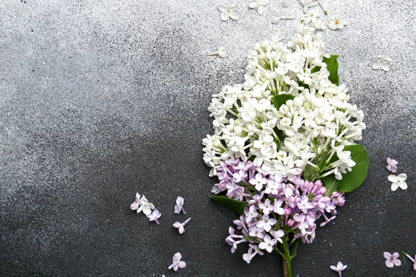 Beautiful Lilac Flowers Dark Background — Stock Photo, Image