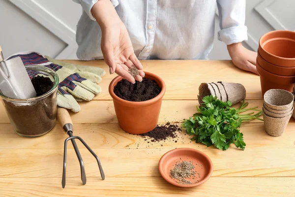 Woman Sowing Parsley Seeds Soil Wooden Table — Stock Photo, Image