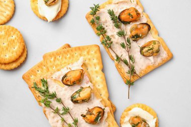 Midyeli lezzetli krakerler ve gri arka planda kekik.