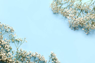 Renkli arkaplanda güzel çigila çiçekleri