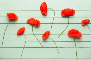 Renkli ahşap arka planda güzel kırmızı gelincik çiçekleri