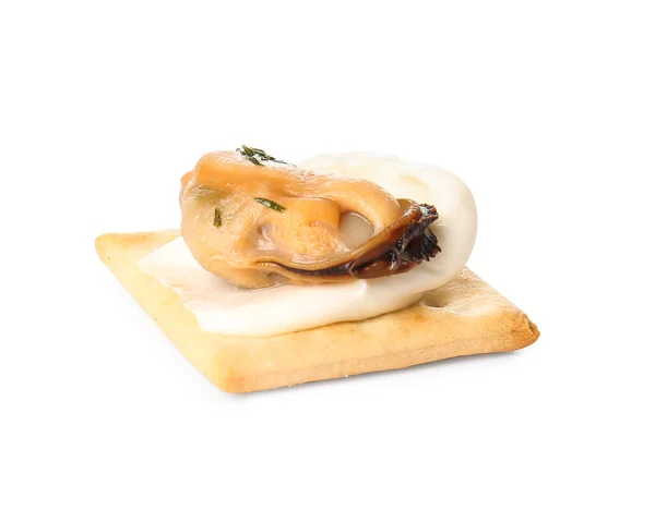 Tasty Cracker Cheese Mussel White Background — Stock Photo, Image