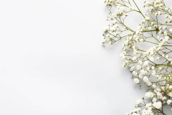 Beautiful Gypsophila Flowers White Background — Stock Photo, Image