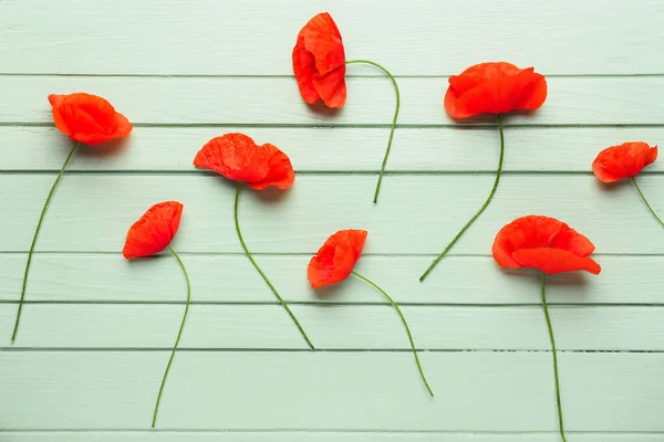 Beautiful Red Poppy Flowers Color Wooden Background — Stock Photo, Image