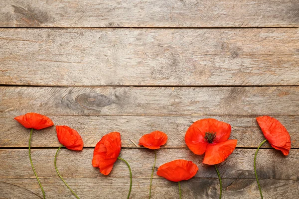 Beautiful Red Poppy Flowers Wooden Background — Stock Photo, Image