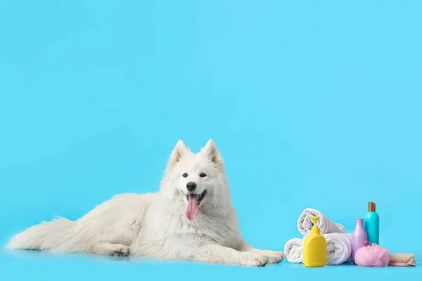 Χαριτωμένο Σκυλί Samoyed Πετσέτες Και Σαμπουάν Στο Φόντο Χρώμα — Φωτογραφία Αρχείου