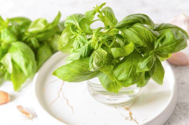 Hafif arka planda taze fesleğen yapraklı tepsi