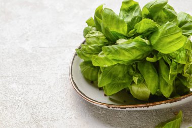 Hafif arka planda taze fesleğen yapraklı tabak, yakın plan.