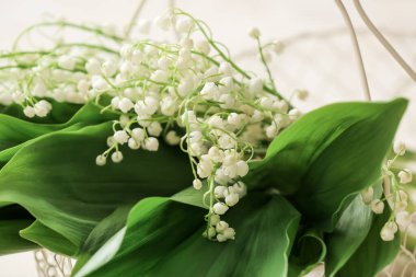 Açık havada güzel çiçekli sepet, yakın plan.