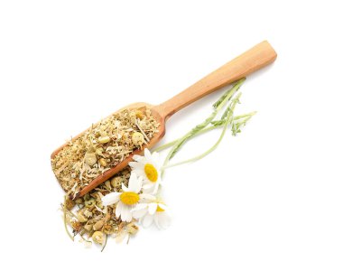 Beyaz arka planda kurumuş ve taze papatya çiçekli kepçe.