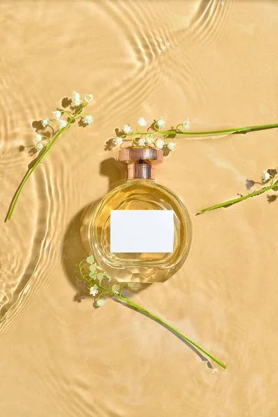Butelka Perfum Kwiatów Lilii Dolinie Wodzie Tle Koloru — Zdjęcie stockowe