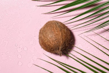 Lezzetli hindistan cevizi ve palmiye yaprakları su damlalarıyla renklendirilmiş