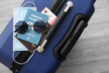 Bavulda dokunulmaz pasaport, güneş gözlüğü, bilet ve tıbbi maske var.