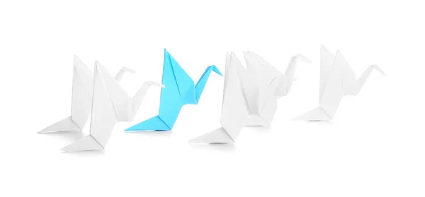 Origami Πουλιά Λευκό Φόντο Έννοια Της Μοναδικότητας — Φωτογραφία Αρχείου