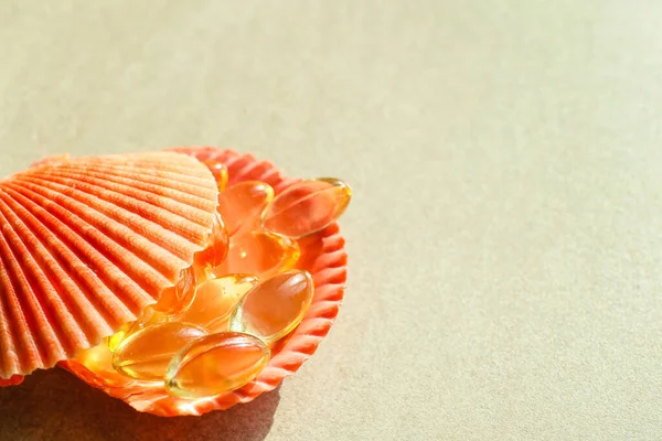 Sea shells with fish oil capsules on grey background