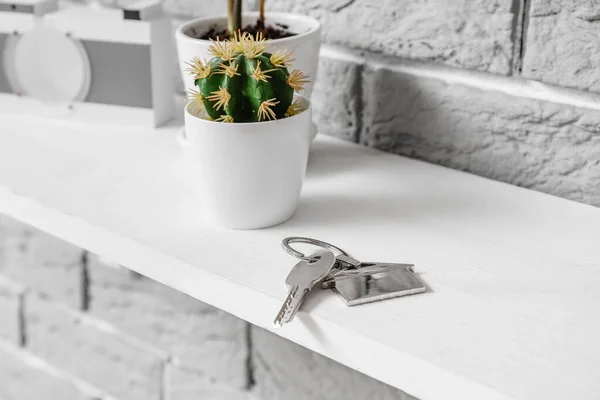 Ράφι Κλειδιά Και Houseplant Κρέμεται Τοίχο Από Τούβλα Closeup — Φωτογραφία Αρχείου
