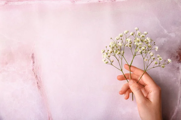 Női Kéz Gyönyörű Cigány Virágok Színes Háttér — Stock Fotó