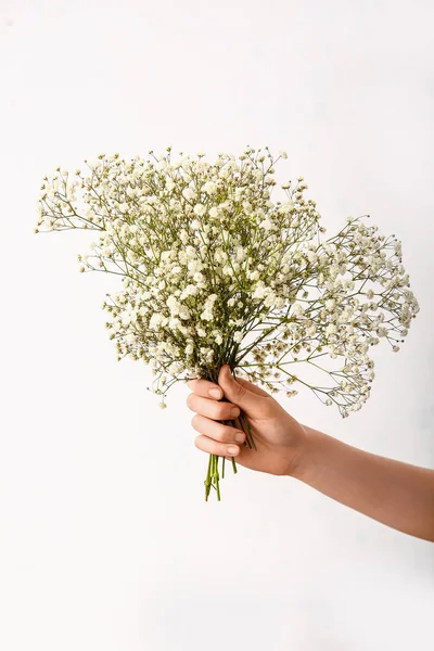 Female Hand Beautiful Gypsophila Flowers White Background — Stock Photo, Image